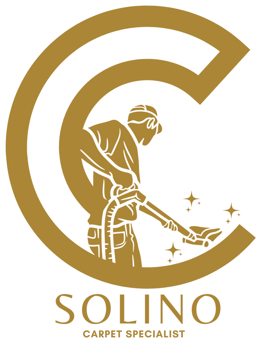 Solino Cleaning logo transparent background